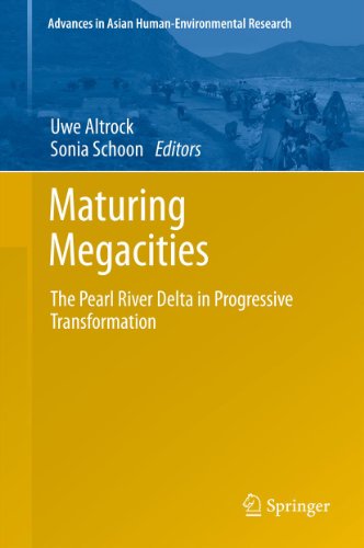 Maturing Megacities: The Pearl River Delta in Progressive Transformation (Advances in Asian Human-Environmental Research) On Sale