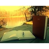 Book-Allys2011DailyPlannerOrganizerAppointmentReminerOffice