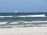 Baltic Sea - 18W x 14H - Peel and Stick Wall Decal by Wallmonkeys