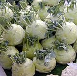 Early White Kohlrabi - 200 Seeds