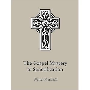 The Gospel Mystery of Sanctification