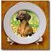 Smooth Dachshund - 8 Inch Porcelain Plate