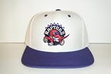 Toronto Raptors NEW Vintage Snapback Hat