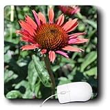 Patricia Sanders Flowers - Flower of Health - Mouse Pads