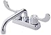 Tools & Hardware : Danze D100353 Melrose Double-Handle Laundry Faucet with Wristblade Handles and Hose Thread Spout, Chrome