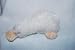 Webkinz Lil' Kinz Mini Plush Stuffed Googles the White Platypus