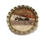 Fluorite Pin 01 Ant Bottle Cap Silver Golden Stone Art Jewelry Brooch Crystals Healing 1