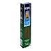 DeCecco Spinich Pasta, Spaghetti, 16-Ounce Units (Pack of 10)