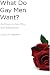 What Do Gay Men Want?: An Essay on Sex, Risk, and Subjectivity
