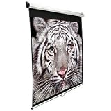 Elite Manual Series M119XWS1 - Projection screen - 119 in ( 302 cm ) - 1:1 - Matte White