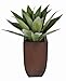 House of Silk Flowers Artificial Tabletop Agave in Gloss Brown Zinc Vase