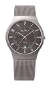 Skagen Gents Titanium Watch - 233XLTTM