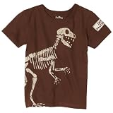 Hatley Boys 2-7 Dinosaurs Graphic Tee,Brown