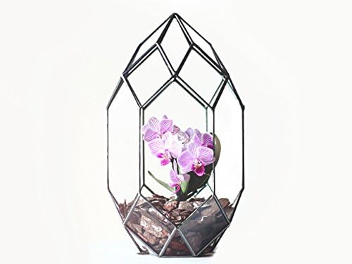 Orchid Planter | Large Glass Geometric Terrarium Container | Modern Planter | Wedding Table Centerpiece | Housewarming Gift | Anniversary Gift | Wedding Gift (Copper, Silver, Black)