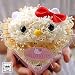 ロイヤルガストロ キティちゃんのプリザーブドフラワー(陶器ポット/プリザーブドフラワーB)・箱入り