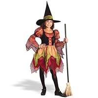 Fairy Witch Costume