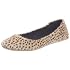 Chocolate Schubar AW10-S-01D Ba