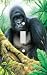 Gorilla Mountain Decorative Switchplate Cover