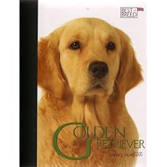 Golden Retriever (Best of Breed)