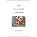 Flashes of Light: A Treatise on Sufism