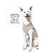 Gooby - Fleece Vest, Small Dog Pullover Fleece Jacket with Leash Ring, Gray, Small