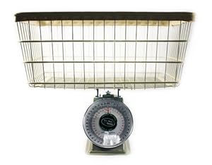 Analaog Laundry Scale 40 Lb. Capacity