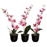 Floral Artificial Potted Orchids in Pink and White (Set of 3)