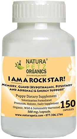 I AM A ROCK STAR! Memory, Gland (Hypothalmic, Pituitary and Adrenal) and Energy Support* for Pupppies, 150 Capsules, 500 mg per Capsule