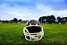 Wallmonkeys Peel and Stick Wall Decals - American Football Helmet in Grass - Removable Graphic