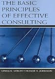 The Basic Principles of Effective Consulting