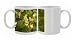 Photo Mugs of White Mulberry Morus alba with ripe berries from Ardea Wildlife Pets