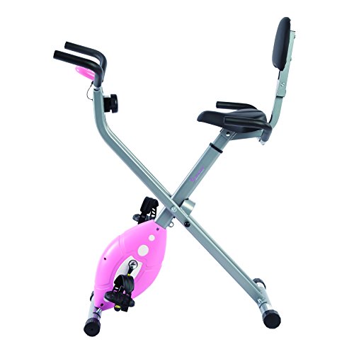Sunny Health & Fitness Folding Recumbent Bike