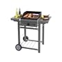 Campingaz 204513 Plancha � Gaz sur Chariot Adela�de Acier Gris / Bois