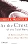 At the Crest of the Tidal Wave: A Forecast for the Great Bear Market (Wiley Investment)