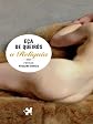 A Relíquia (Portuguese Edition)