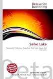 Saiko Lake-