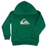 Quiksilver Boy Mountain & Wave Logo Hoody, 4-5 years, Greenday Green