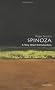 Spinoza: A Very Short Introduction (Very Short Introductions)