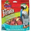 Kaytee Fiesta Southwest Treat Blend -- 10 oz