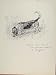 SMELLING DOG PET ANIMAL HOUND SKETCH ETCHING PRINT 1938