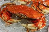 FRESH Cooked DUNGENESS CRABS (6 Large Crabs)