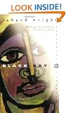 Black Boy: American Hunger (Perennial classics)