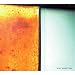 Koss - Ancient Rain [CD]