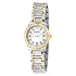 luxury dive watches for men Bul