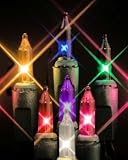 Set of 100 Multi-Color Mini Christmas Lights - Green Wire