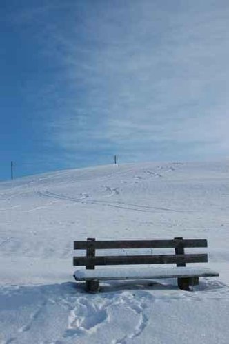 Sitzbank im Schnee - 24"H x 16"W - Peel and Stick Wall Decal by Wallmonkeys