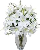 White Stargazer Lilies without Vase