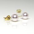 HinsonGayle AAA Japanese Akoya 6.0-6.5mm White Cultured Pearl Stud Earrings (14K Yellow Gold)
