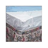 SLEEP SAFE BED BUG, DUST MITE, and ALLERGEN PROOF Vinyl QUEEN Boxspring ZipCover, Size: Queen 60 x 80 x 9deep Vinyl ENCASEMENT - compare price