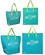 Insulated Tote Bag Variety 4 Pack, Aqua